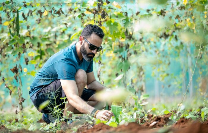 Le_plaisir_du_jardinage_:_Comment_maintenir_votre_jardin_dans_un_état_optimal_tout_au_long_de_l_année_?