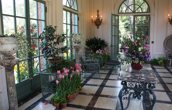 Plantes_en_pot_:_4_conseils_pour_un_jardin_intérieur_épanoui