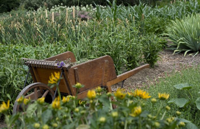Préservez_votre_potager_des_rigueurs_de_l_hiver_grâce_à_ces_4_conseils_ingénieux_!